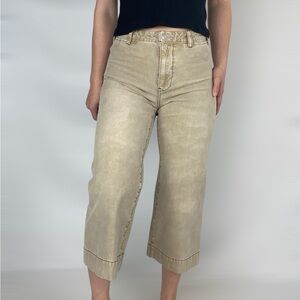 PILCRO Anthropologie James Wide Leg Crop‎ Pant Mushroom Faded High Waist Petite